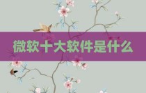 微软十大软件是什么