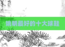 姚明最好的十大球鞋