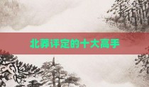 北莽评定的十大高手