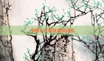中国十大连锁装饰公司