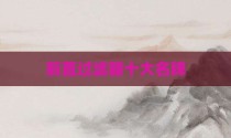 前置过滤器十大名牌