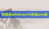 树莓派windows10安装arm版