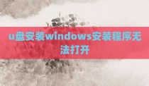u盘安装windows安装程序无法打开