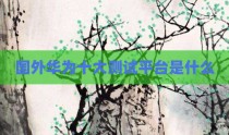 国外华为十大测试平台是什么