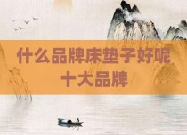 什么品牌床垫子好呢十大品牌