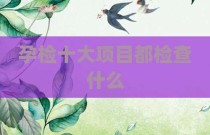 孕检十大项目都检查什么