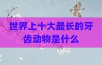 世界上十大最长的牙齿动物是什么