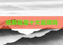 哈斯福是十大品牌吗