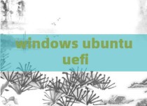 windows ubuntu uefi