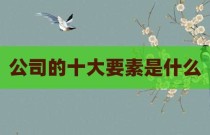 公司的十大要素是什么