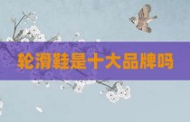 轮滑鞋是十大品牌吗