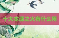 十大本源之火有什么用