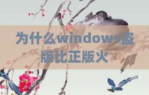 为什么windows盗版比正版火
