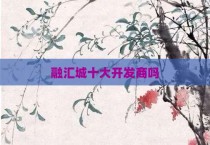 融汇城十大开发商吗