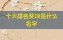 十大排名奖项是什么名字