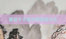 面试十大加分项目是什么