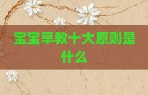 宝宝早教十大原则是什么