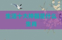 生活十大神器是什么生肖