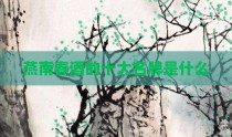 燕南春酒的十大名牌是什么