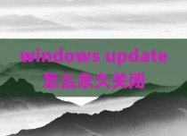 windows update怎么永久关闭