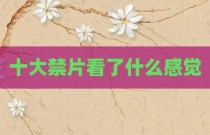 十大禁片看了什么感觉
