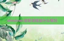 windows更新清理是什么情况