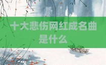 十大悲伤网红成名曲是什么