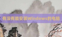 有没有能安装Windows的电脑