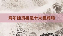 海尔挂烫机是十大品牌吗