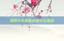 消防十大特勤队是什么组织