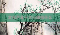 文化产业十大行动指什么