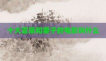十大富豪和妻子的电影叫什么