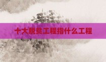 十大脱贫工程指什么工程