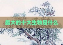 最大的十大生物是什么