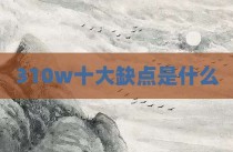 310w十大缺点是什么