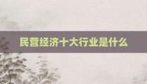 民营经济十大行业是什么