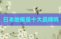 日丰地板是十大品牌吗
