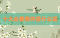 十大必要条件是什么呢