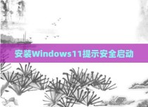 安装Windows11提示安全启动
