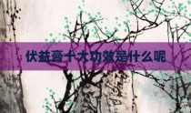 伏益膏十大功效是什么呢