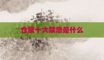 仓鼠十大禁忌是什么