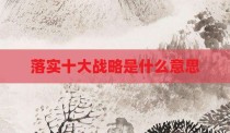 落实十大战略是什么意思