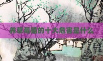 养草莓猫的十大危害是什么