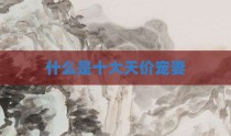 什么是十大天价宠妻
