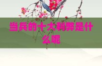 当兵的十大利弊是什么呢