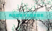 乔丹篮球十大技术排名