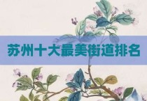 苏州十大最美街道排名