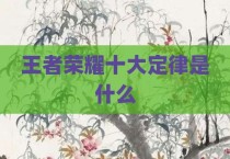 王者荣耀十大定律是什么