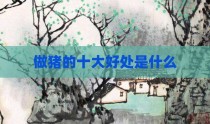 做猪的十大好处是什么
