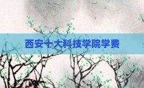 西安十大科技学院学费